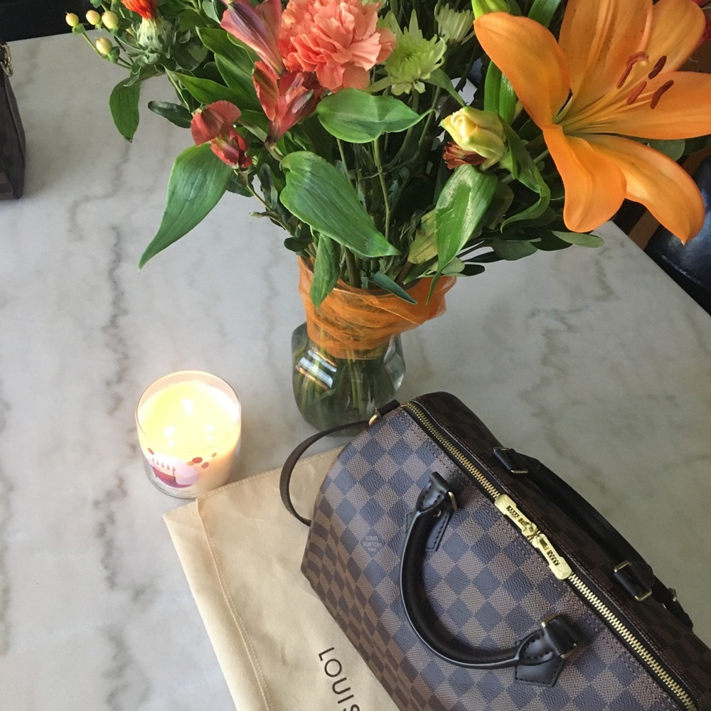 Louis Vuitton Damier Ebene Speedy 30